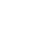 Youtube Icon